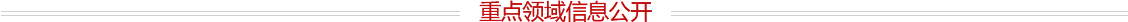 重點領(lǐng)域信息公開 重點領(lǐng)域信息公開